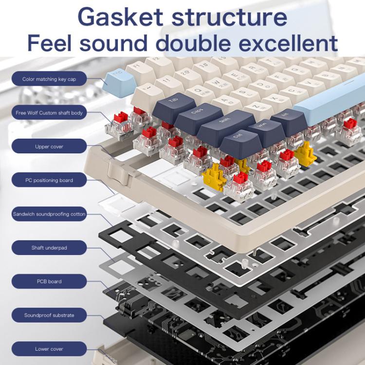 TBD06065429_B7.jpg@a7223b5de989a6b2382b4f5cf5d45cc5