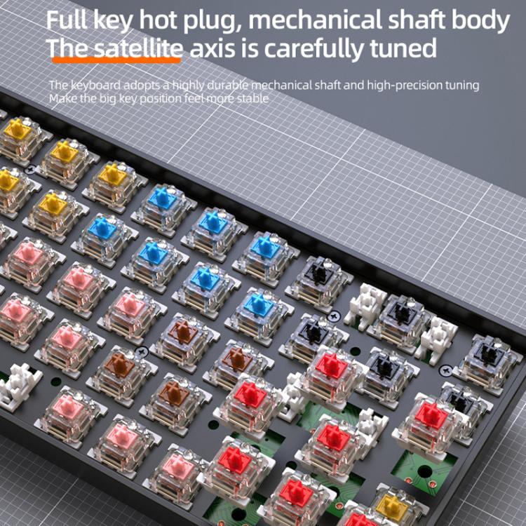 TBD06065437_B6.jpg@a44e19848d8c34d284823532695366a8