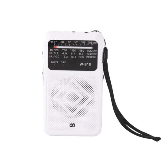 W-918 Pointer Dual-Power Radio FM/AM/SW Full-Band Radio(White)
