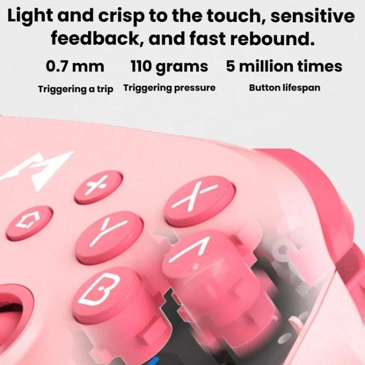 TBD06066064_B2.jpg@7f5a3b726410e42d3bd091126b965b69