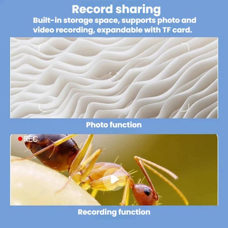 TBD06066244_B4.jpg@ed21a269a6453f4a2add41a2c6c4ca38