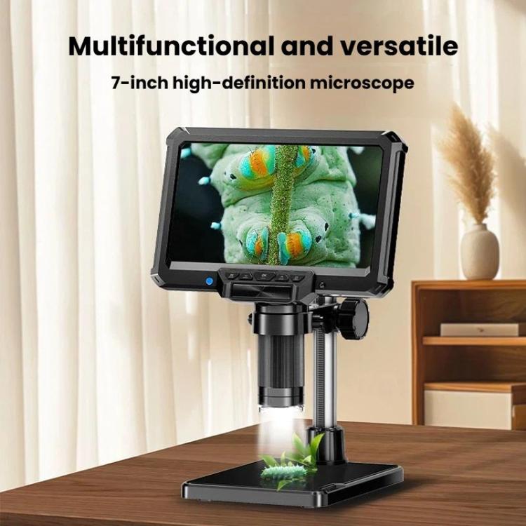 TBD06066247_B1.jpg@62c0857cbcc4eda055d12cafa4381f3a