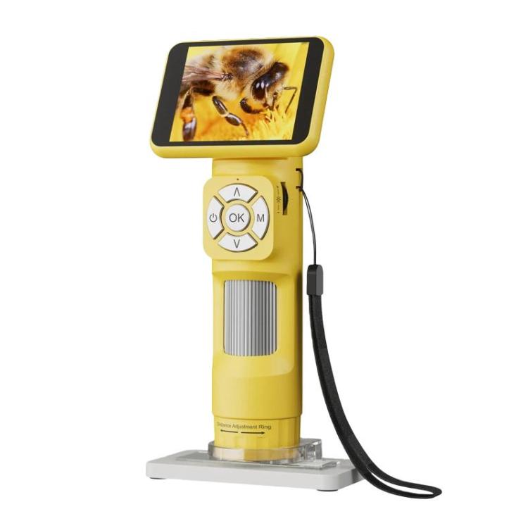 TBD0606625001B.jpg@fceb265f39545a7a438aab19077a00dd