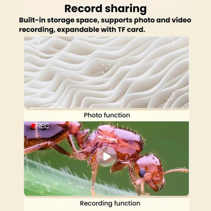 TBD06066258_B6.jpg@7952421401b935f7a2ecd47d296f905d