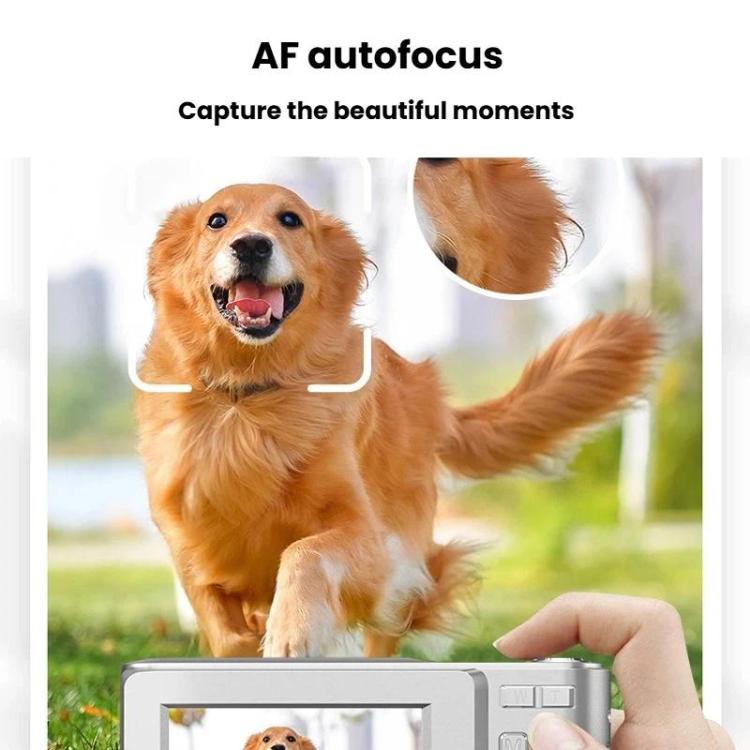 TBD06066382_B8.jpg@300d72805a7dc3e87106e88b511b86c9