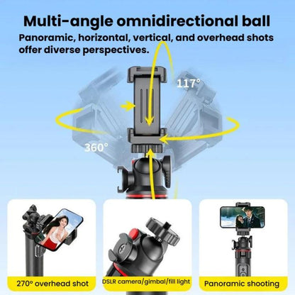 TBD06066434_B2.jpg@6350791f115c7ae030db99b70b724b98