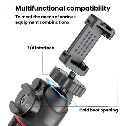 TBD06066434_B9.jpg@4add0942e8ab2e006f66ebc205934469