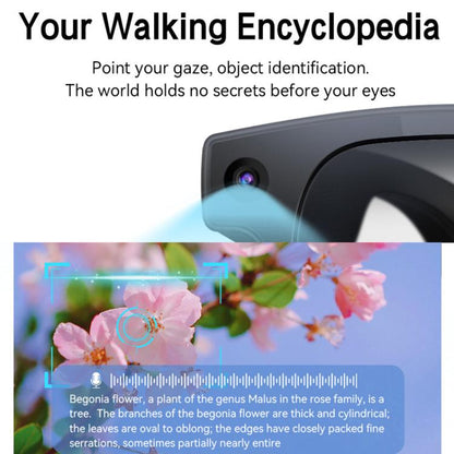 TBD06067236_B11.jpg@43479a74cee943972d03b019ee562b11