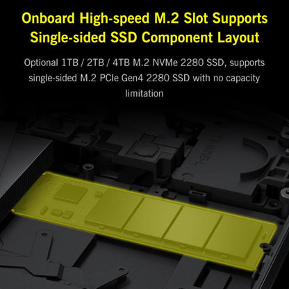 WMC2579_B6.jpg@6e5fb37cb30a9385ab007773457f6f50