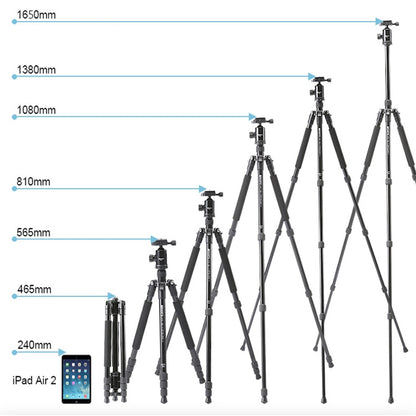 TRIOPO 554 Adjustable Portable  Aluminum Alloy Tripod with D-2A Ball Head for SLR Camera - Camera Accessories by TRIOPO | Online Shopping UK | buy2fix