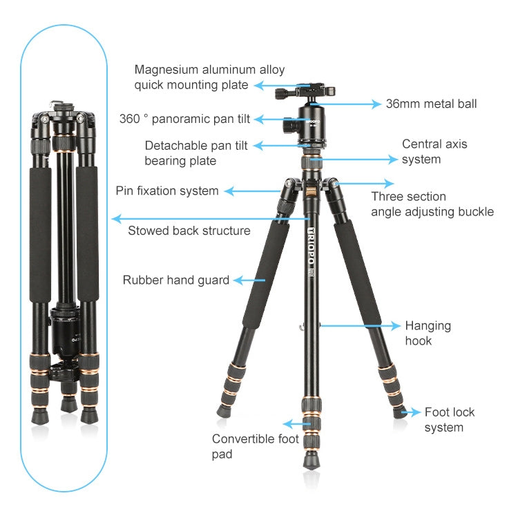 TRIOPO 554 Adjustable Portable  Aluminum Alloy Tripod with D-2A Ball Head for SLR Camera - Camera Accessories by TRIOPO | Online Shopping UK | buy2fix