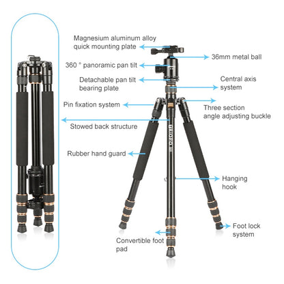 TRIOPO 554 Adjustable Portable  Aluminum Alloy Tripod with D-2A Ball Head for SLR Camera - Camera Accessories by TRIOPO | Online Shopping UK | buy2fix