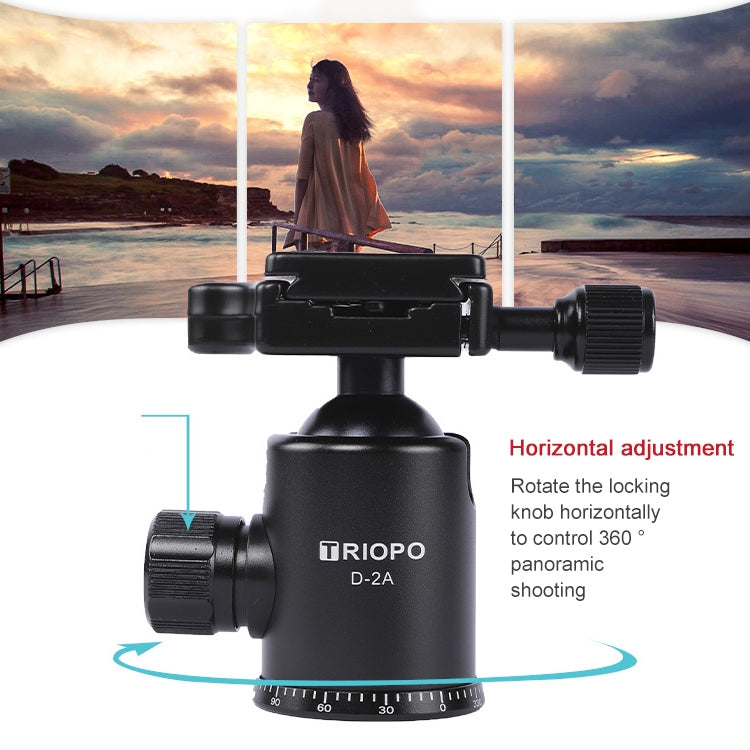 TRIOPO 853 Adjustable Portable Carbon Fiber Tripod with D2-A Ball Head for SLR Camera - Camera Accessories by TRIOPO | Online Shopping UK | buy2fix