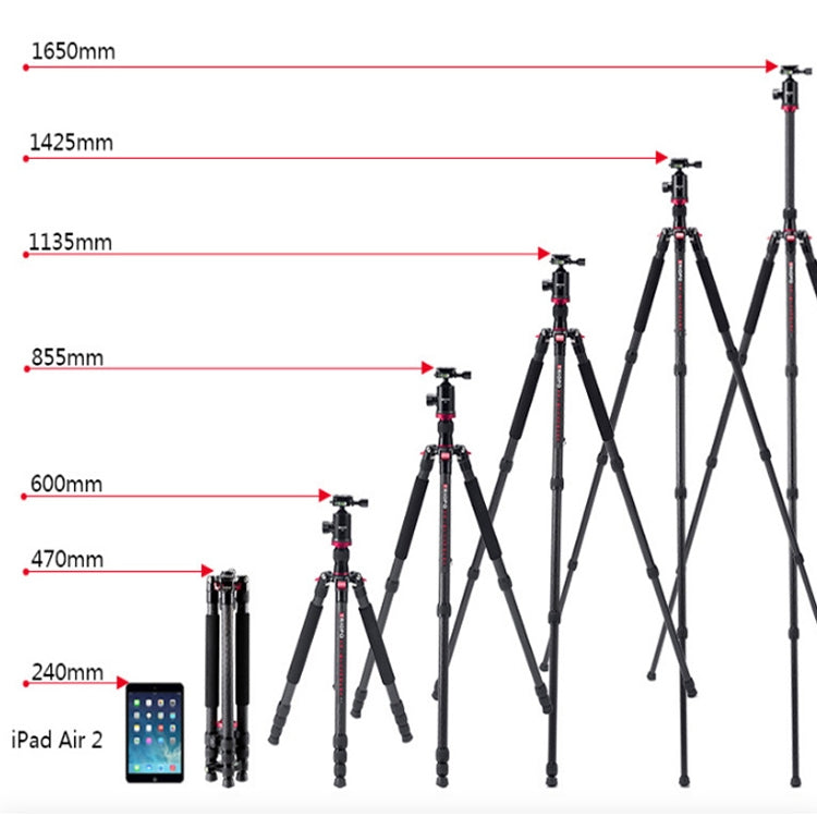 TRIOPO 888 Adjustable Portable Carbon Fiber Tripod with Q-2 Ball Head for SLR Camera, Pipe diameter: 28cm - Camera Accessories by TRIOPO | Online Shopping UK | buy2fix