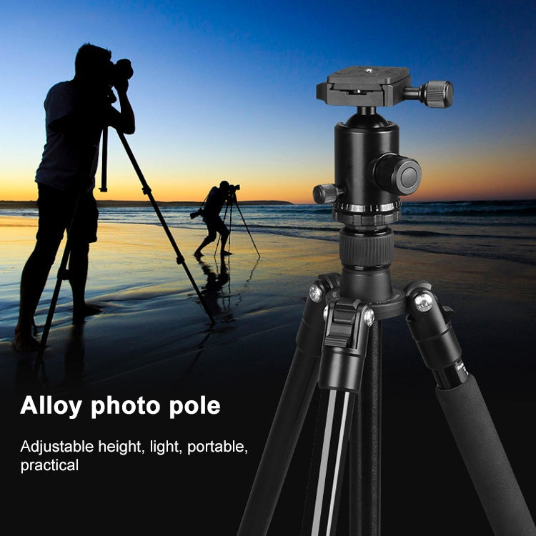 TRIOPO Oubao TA300 Adjustable Portable Aluminum Alloy Tripod with Ball Head for SLR Camera - Camera Accessories by TRIOPO | Online Shopping UK | buy2fix