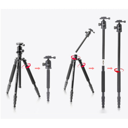 TRIOPO T258 Aluminum Alloy Tripod Monopod with D2 Ball Head (Black) - Camera Accessories by TRIOPO | Online Shopping UK | buy2fix