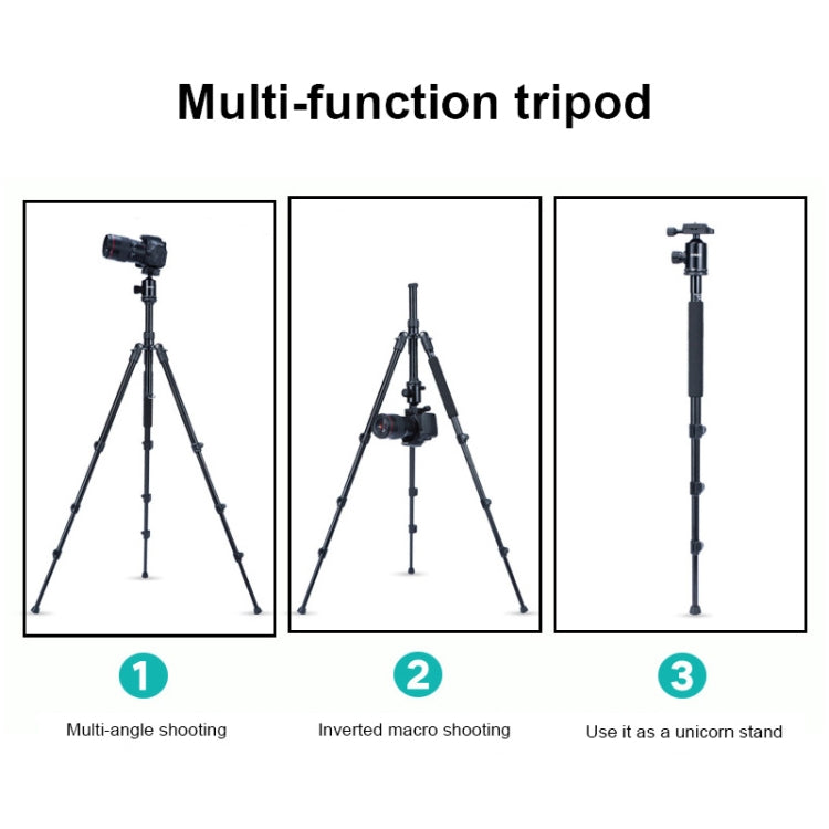 TRIOPO Oubao A-308S Adjustable Portable  Aluminum Alloy Tripod with Ball Head for SLR Camera - Camera Accessories by TRIOPO | Online Shopping UK | buy2fix