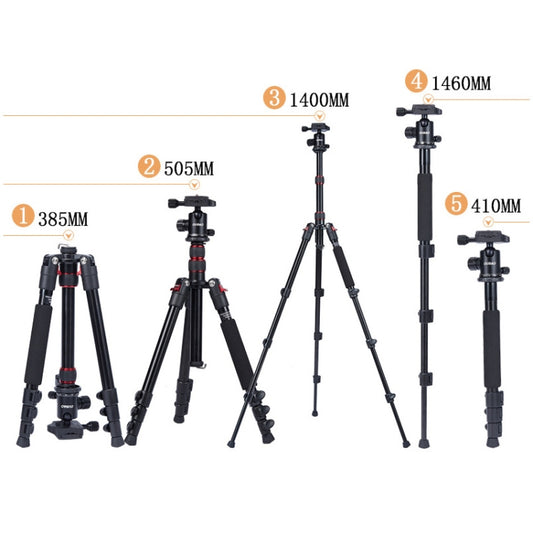 TRIOPO Oubao A-208S Adjustable Portable Aluminum Alloy Tripod with Ball Head for SLR Camera by TRIOPO