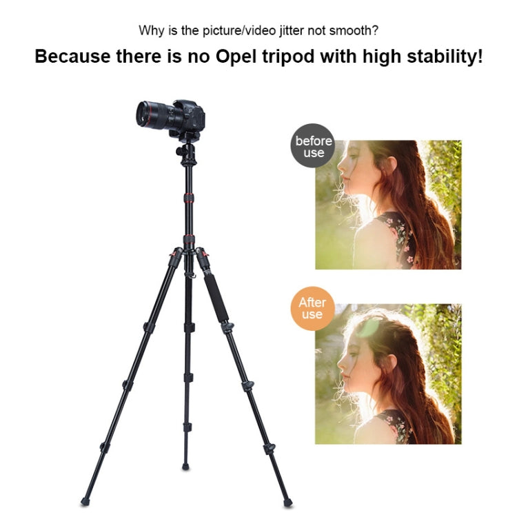 TRIOPO Oubao A-208S Adjustable Portable  Aluminum Alloy Tripod with Ball Head for SLR Camera - Camera Accessories by TRIOPO | Online Shopping UK | buy2fix