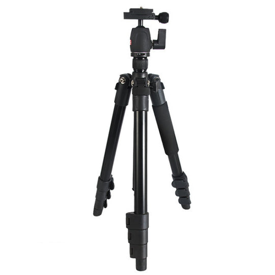 Bexin MS11 trépieds photographiques flexibles portables pour téléphone intelligent DSLR appareil photo reflex caméscope DV