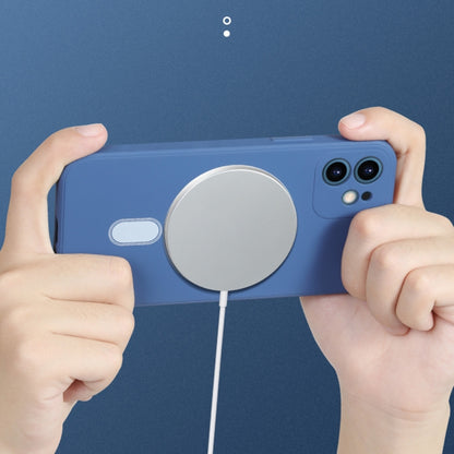 For iPhone 12 Pro Silicone Full Coverage Shockproof Magsafe Case(Blue) by buy2fix