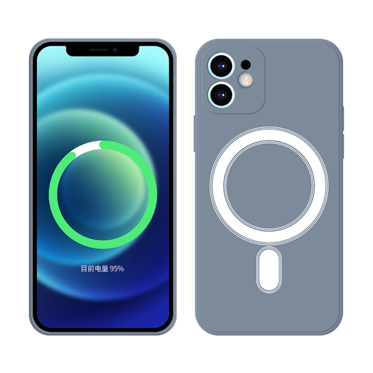 For iPhone 11 Pro Silicone Full Coverage Shockproof Magsafe Case (Grey) by buy2fix