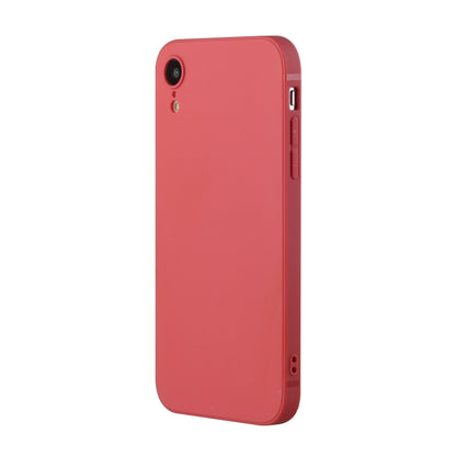 For iPhone XR Straight Edge Solid Color TPU Shockproof Case(Hawthorn Red) by buy2fix