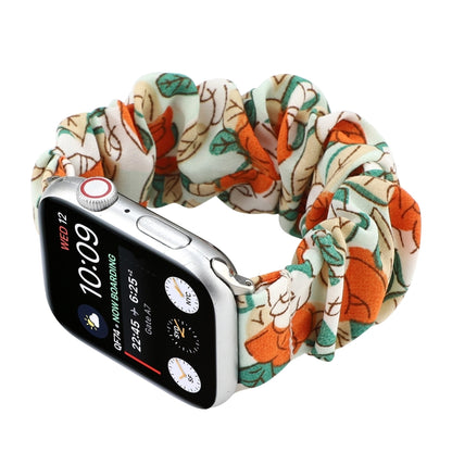 Fabric Hair Ring Watch Band For Apple Watch Series 9&8&7 41mm / SE 3&SE 2&6&SE&5&4 40mm / 3&2&1 38mm(4) by buy2fix
