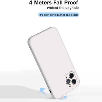 For iPhone 11 Pro Solid Color Imitation Liquid Silicone Straight Edge Dropproof Full Coverage Protective Case (White) by buy2fix