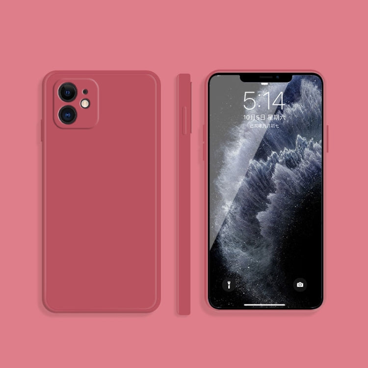 For iPhone 12 Solid Color Imitation Liquid Silicone Straight Edge Dropproof Full Coverage Protective Case(Red) by buy2fix