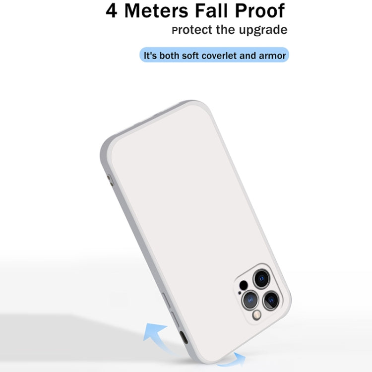 For iPhone 12 Pro Solid Color Imitation Liquid Silicone Straight Edge Dropproof Full Coverage Protective Case(White) by buy2fix