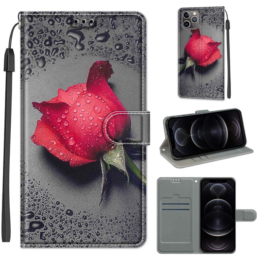 For iPhone 12 / 12 Pro Voltage Colored Drawing Magnetic Clasp Horizontal Flip PU Leather Case with Holder & Card Slots(C14 Black Water Drop Rose) by buy2fix