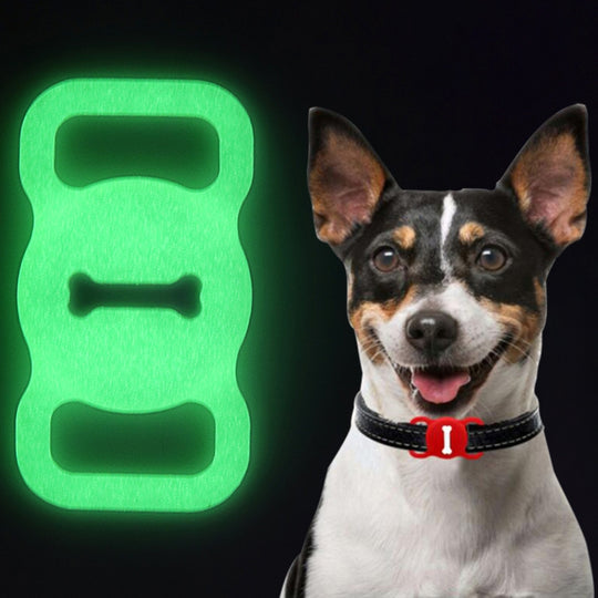 Shockproof Anti-scratch Silicone Case Protective Cover, Style: Bones, Model:For AirTag 2nd Gen / AirTag 1st Gen(Luminous Green)