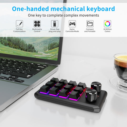 Bluetooth Wireless 12KV2 MOLD Mini Mechanical 12 Keys 2 Knob Custom Programming Keyboard(Black) by buy2fix