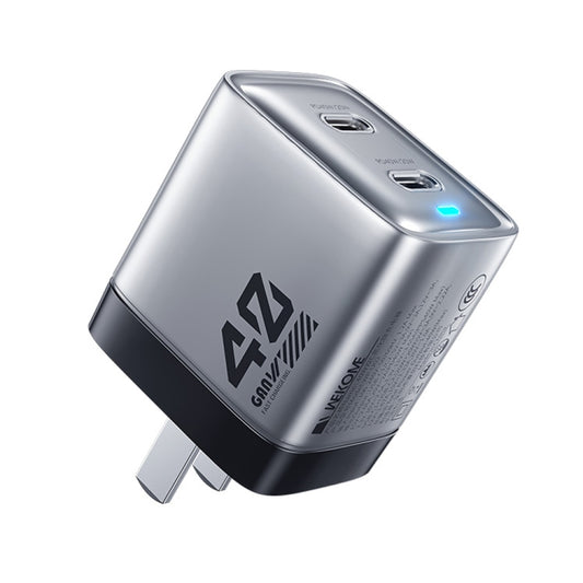 WK WP-U02 40W Dual USB-C / Type-C Interface Gallium Nitride Fast Charger(Silver) - USB Charger by WK | Online Shopping UK | buy2fix