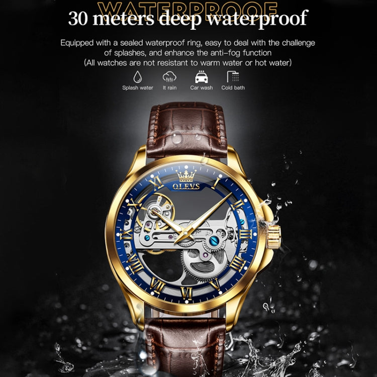 OLEVS 6661 Men Fashion Luminous Waterproof Mechanical Watch(Blue + Gold) - Leather Strap Watches by OLEVS | Online Shopping UK | buy2fix