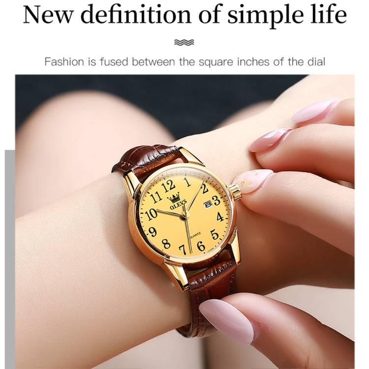 OLEVS 5566 Women Simple Single Calendar Waterproof Quartz Watch(Gold) - Leather Strap Watches by OLEVS | Online Shopping UK | buy2fix