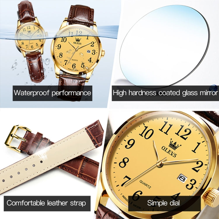 OLEVS 5566 Women Simple Single Calendar Waterproof Quartz Watch(Gold) - Leather Strap Watches by OLEVS | Online Shopping UK | buy2fix