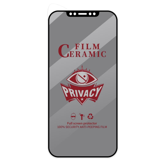 For iPhone 12 Pro Max Full Coverage HD Privacy Ceramic Film by buy2fix