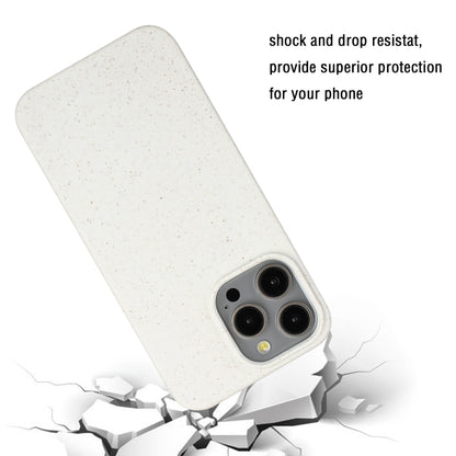 For iPhone 12 Pro Wheat MagSafe Magnetic Straw Material + TPU Phone Case(White) by buy2fix
