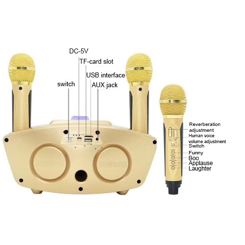 SD-306 2 in 1 Family KTV Portable Wireless Live Dual Microphone + Bluetooth Speaker(Pink) - Consumer Electronics by buy2fix | Online Shopping UK | buy2fix