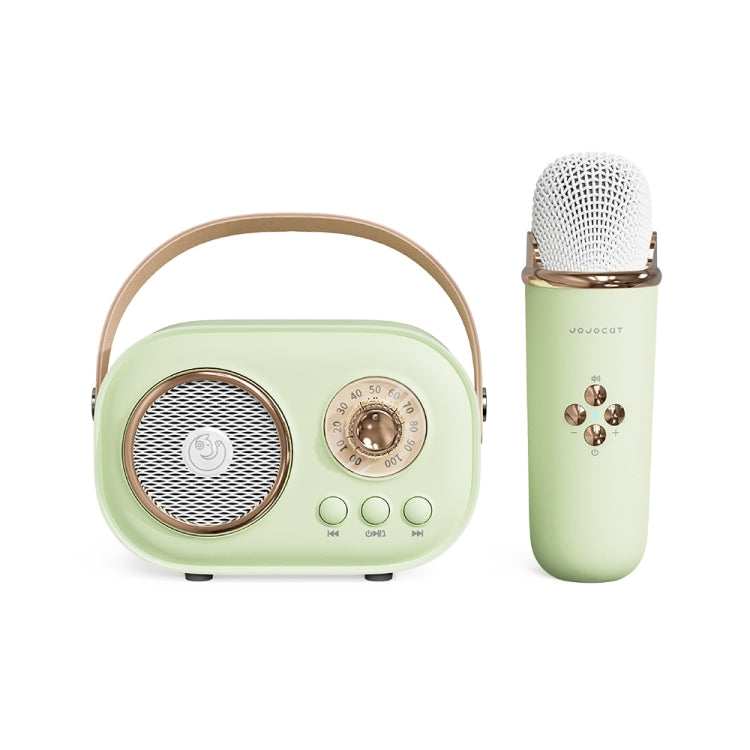 C20 Plus Multifunctional Karaoke Bluetooth Speaker With Microphone (Green) - Microphone by buy2fix | Online Shopping UK | buy2fix