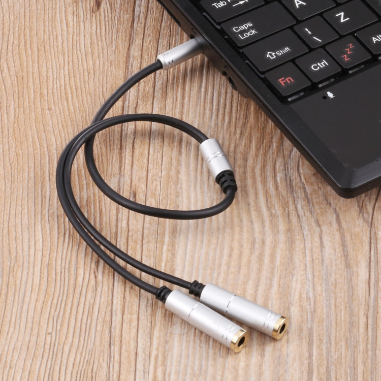 2 x 3.5mm Female to 3.5mm Male Adapter Cable(Silver) by buy2fix
