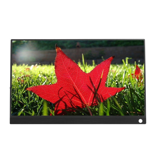 15.6 inch 1080P 178 Degree Wide Angle HD Portable IPS LED Display Monitor by buy2fix