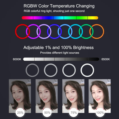 PULUZ 7.9 inch 20cm USB RGB Dimmable LED Dual Color Temperature LED Curved Light Ring Vlogging Selfie Photography Video Lights with Phone Clamp(Pink) - Consumer Electronics by PULUZ | Online Shopping UK | buy2fix