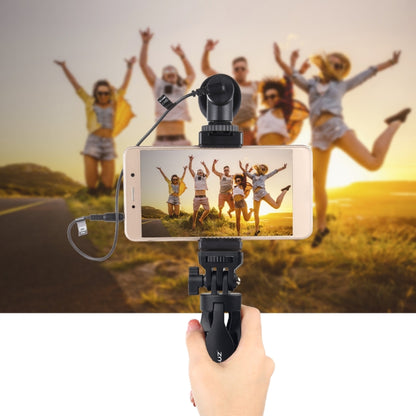 PULUZ Desk Plastic Tripod Mount with Phone Clamp & Adjusting Tripod Head for Smartphones(Black) - Consumer Electronics by PULUZ | Online Shopping UK | buy2fix