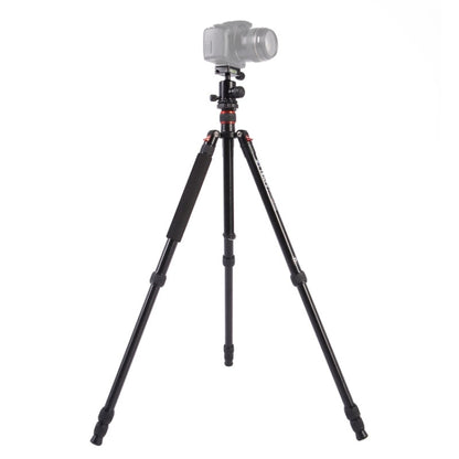 Triopo MT-2504C Adjustable Portable Aluminum Tripod with NB-1S Ball Head for Canon Nikon Sony DSLR Camera(Black) - Camera Accessories by TRIOPO | Online Shopping UK | buy2fix