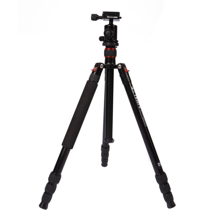 Triopo MT-2504C Adjustable Portable Aluminum Tripod with NB-1S Ball Head for Canon Nikon Sony DSLR Camera(Black) - Camera Accessories by TRIOPO | Online Shopping UK | buy2fix