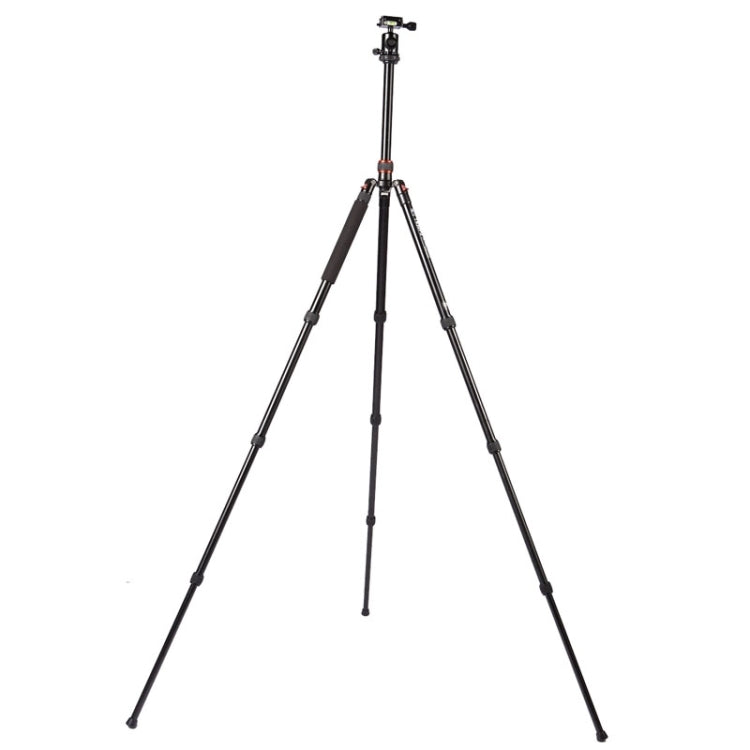 Triopo MT-2504C Adjustable Portable Aluminum Tripod (Gold) with NB-1S Ball Head (Black) for Canon Nikon Sony DSLR Camera - Camera Accessories by TRIOPO | Online Shopping UK | buy2fix