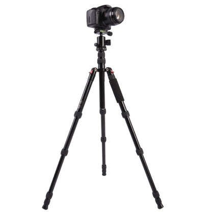 Triopo MT-2505C Adjustable Portable Aluminum Tripod (Gold) with NB-1S Ball Head (Black) for Canon Nikon Sony DSLR Camera - Camera Accessories by TRIOPO | Online Shopping UK | buy2fix